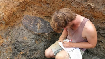 В Англии археологи обнаружили деревянную лестницу возрастом 2000 лет