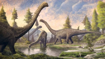 В Индии палеонтологи обнаружили 92 гнезда динозавров, похожие на птичьи
