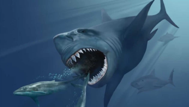 В Тихом океане найден зуб морского чудовища, возрастом 3,5 миллиона лет