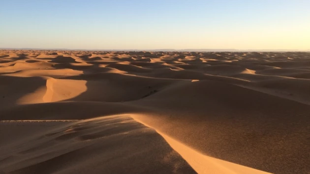 РБК: солнечные батареи могут сделать пустыню Сахару снова зеленой