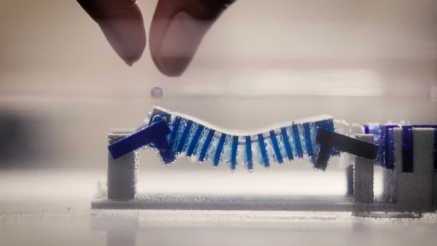 Ученые создали робота-улитку, чтобы очистить океан от микропластика
