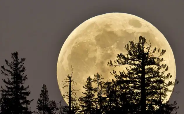 Жители России увидят огромную Луну 13 июля
