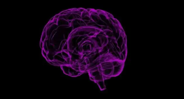 Исследователи выяснили, как головной мозг контролирует желание действовать