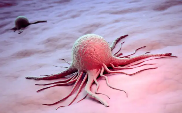 Новый метод высвобождения убивающих рак Т-клеток