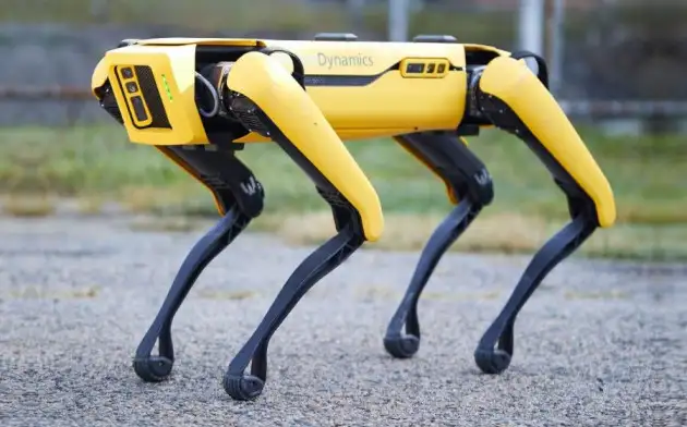 Робот-пес Морти научился ходить за час благодаря искусственному интеллекту