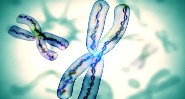Новый инструмент CRISPR редактирует мутации, копируя гены между хромосомами