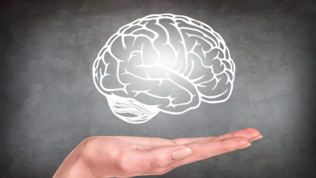 Нейробиологи назвали 5 вещей, которые поддерживают здоровье мозга
