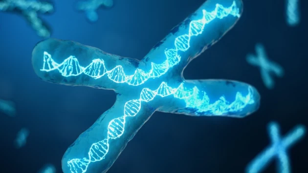 Ученые нашли новые подходы к лечению синдрома ломкой Х-хромосомы