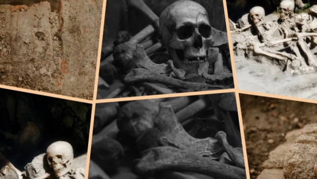 RG.RU: Следы гейдельбергского человека возрастом 300 тыс. лет найдены в ФРГ