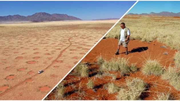 SJR: Ученые раскрыли причину возникновения кругов на полях Намибии