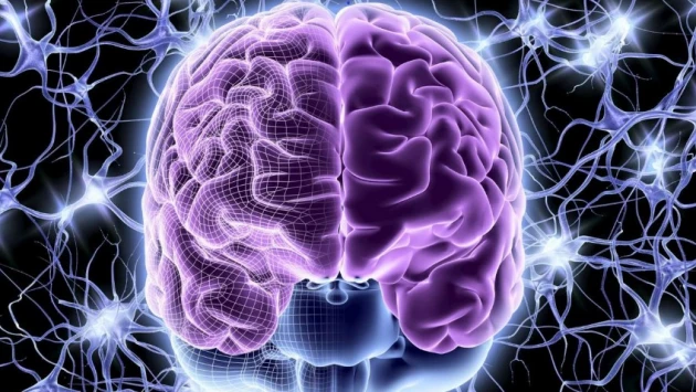 Нейробиологи выяснили, какая часть мозга человека скрывает информацию о его «я»