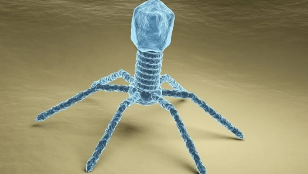 Невероятно большие вирусы с руками и хвостами обнаружены в Массачусетсе