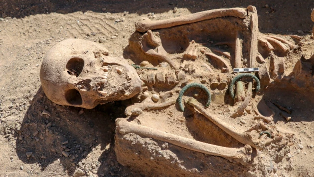 Установлено происхождение костяных колец, найденных в захоронениях англо-саксонской элиты