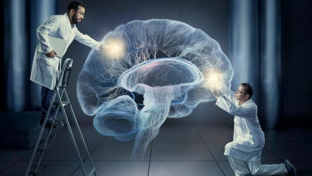 Ученые идентифицировали потенциальную область мозга, отвечающую за осознанный опыт