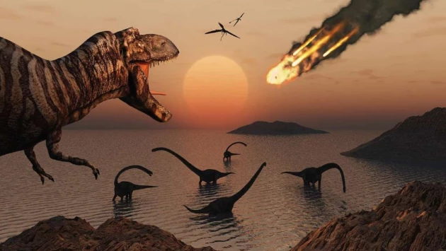 По новым исследованиям, предки людей пережили падение метеорита, уничтожившего динозавров
