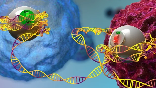 Nature: ИИ и CRISPR способны точно контролировать экспрессию генов