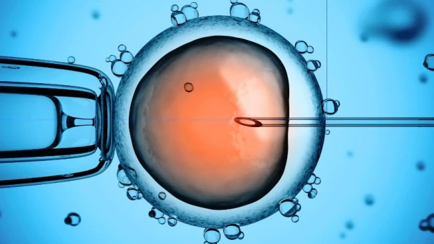 ТАСС: российские учёные предложили новый метод отбора сперматозоидов для ЭКО