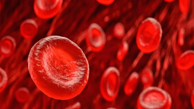 Ученые перепрограммируют клетки крови с помощью жировых шариков, нацеленных на костный мозг