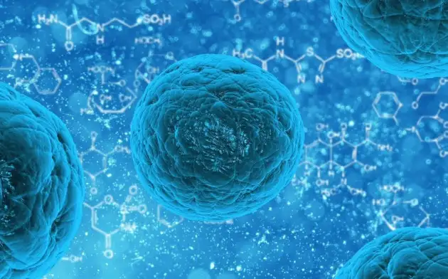 Китайские учёные теперь могут создавать организмы из обычных клеток