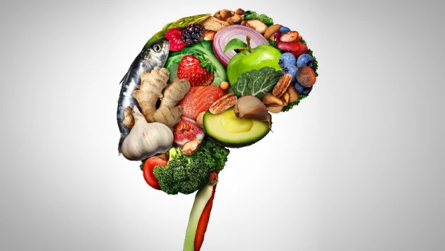 Nature Metabolism: Томография мозга выявила его реакцию на питательные вещества при ожирении