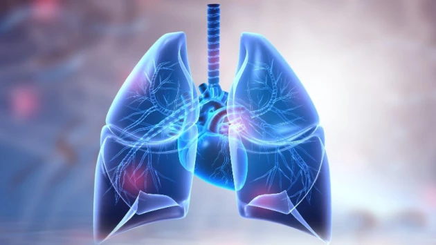 Названы 7 признаков, указывающих на риск развития рака лёгких у человека в будущем