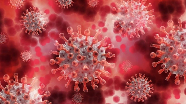 АиФ: Ученые из КНР прогнозируют новые волны коронавируса по всему миру летом 2023 года
