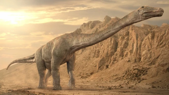 В Аргентине открыли новый вид огромных титанозавров, обитавших 90 миллионов лет назад