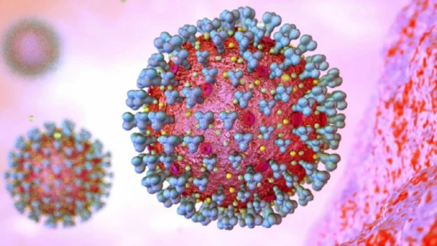 "ОСН": Вирусолог РФ Малинникова сообщила, как защититься от похожего на COVID вируса HMPV