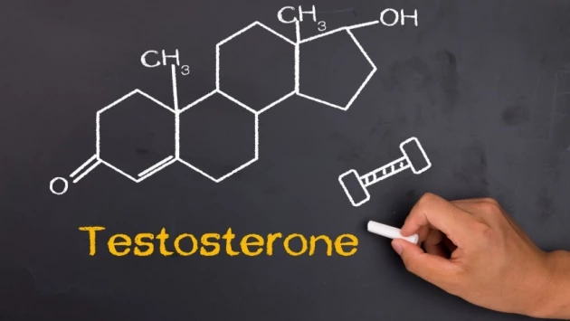 Ученые рассказали, как тестостерон меняет свое воздействие на организм человека по мере взросления
