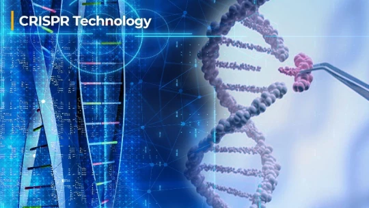 Nature Biomedical Engineering: разработан инструмент на основе CRISPR для диагностики рака