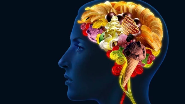 Хронический стресс в сочетании с калорийной пищей усиливает систему вознаграждения мозга