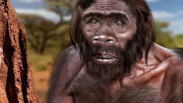 РИА Новости: Обнаруженные учеными «звездные» люди Homo naledi были умными