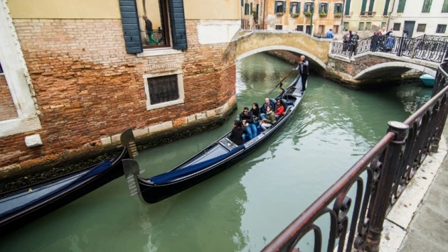В Венеции экологи установили причину окрашивания Гранд-канала в ядовито-зелёный цвет