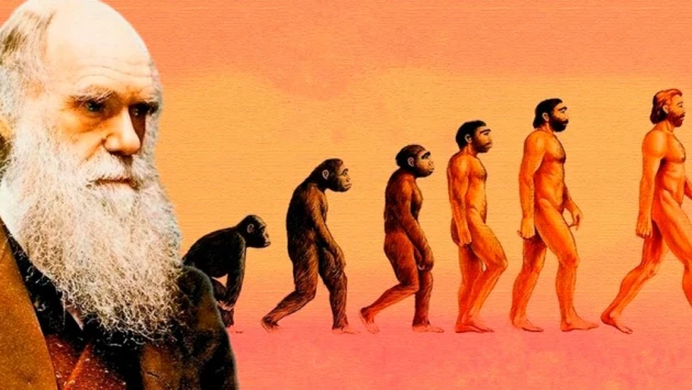 CRPS: Ученые обнаружили, что принципы дарвиновской эволюции оказались универсальными