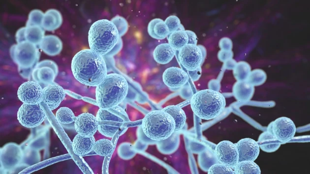 Cell: Грибковые инфекции являются непреднамеренным последствием продвинутой иммунотерапии