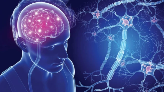 Биомаркер мозга показал, что определенное лекарство может обращать вспять рассеянный склероз
