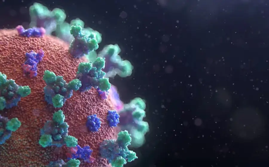 Созданы мини-антитела с операционной системой для борьбы с любой болезнью