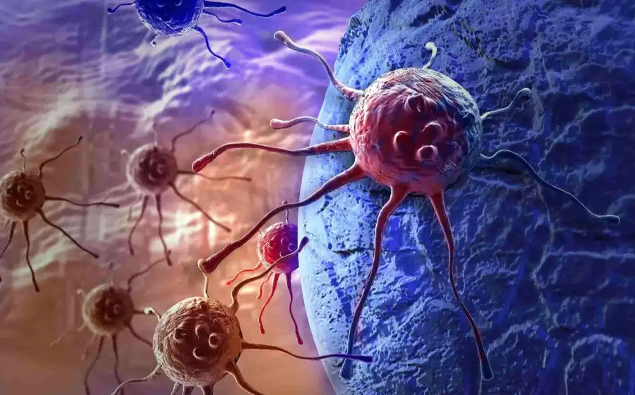 Человеческие клетки способны передвигаться по организму с помощью «щупальцев»