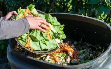 Канадские ученые намерены генерировать пищевые отходы в чистую энергию