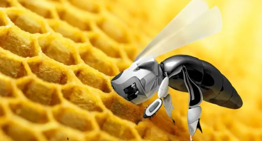 Производители роботизированных ульев привлекли 80 миллионов долларов для спасения пчёл