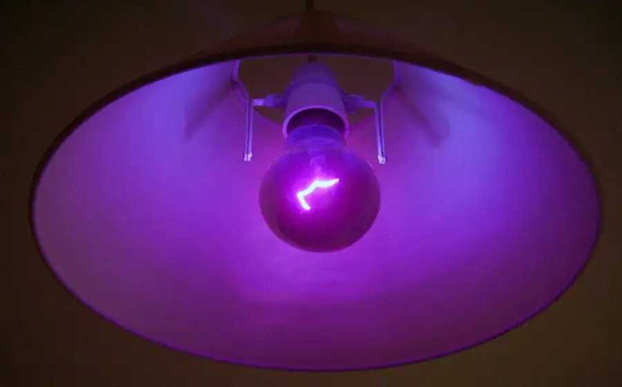 Ультрафиолетовый свет уничтожает микробов и понижает шансы заболеть