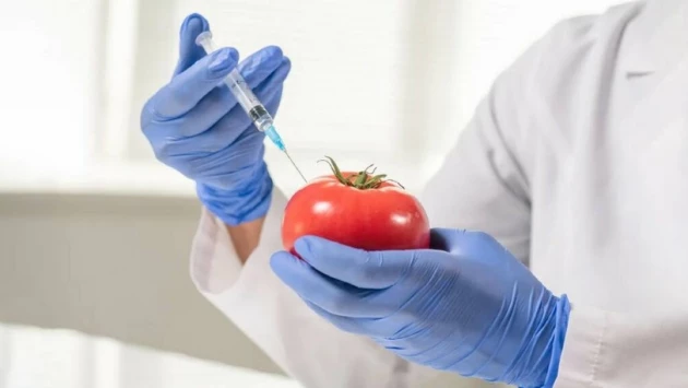 Англия легализует коммерческую разработку генно-модифицированных продуктов питания