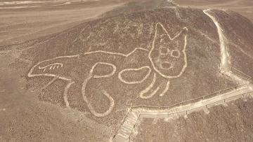 В районе плато Наска в Перу обнаружен геоглиф котика