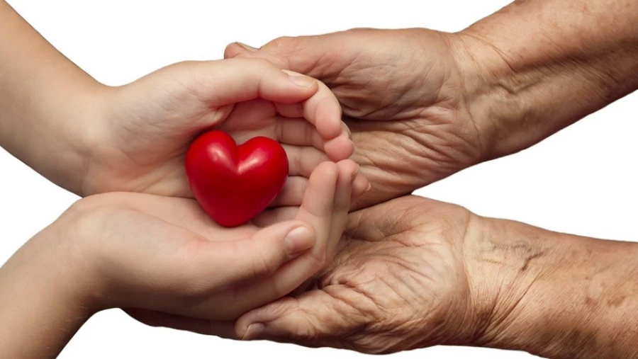 Британские медики разрабатывают способ омоложения сердца генами долгожителей