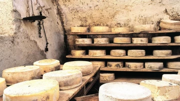 Royal Society Open Science: найдены доказательства производства сыра в эпоху неолита