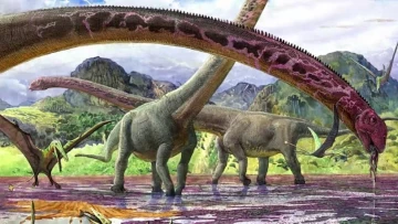 Найденный в Китае динозавр обладал самой длинной шеей на Земле