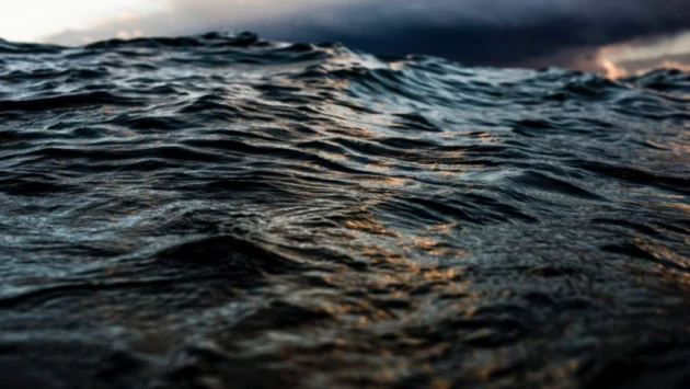 На дне океанов обнаружены аномально теплые волны