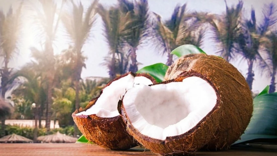 Oddity Central: Индус 28 лет питается одними кокосами
