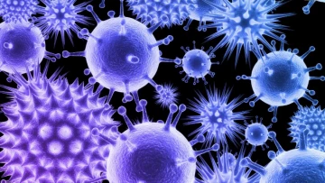Учёные из России создали тест для оперативного выявления любого вируса