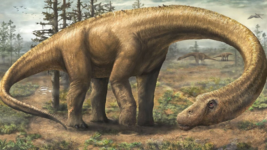 Бразильские ученые рассказали об эволюции «воздушных» костей динозавров